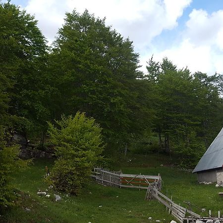 Hawkeye Villa Zabljak  Exterior photo